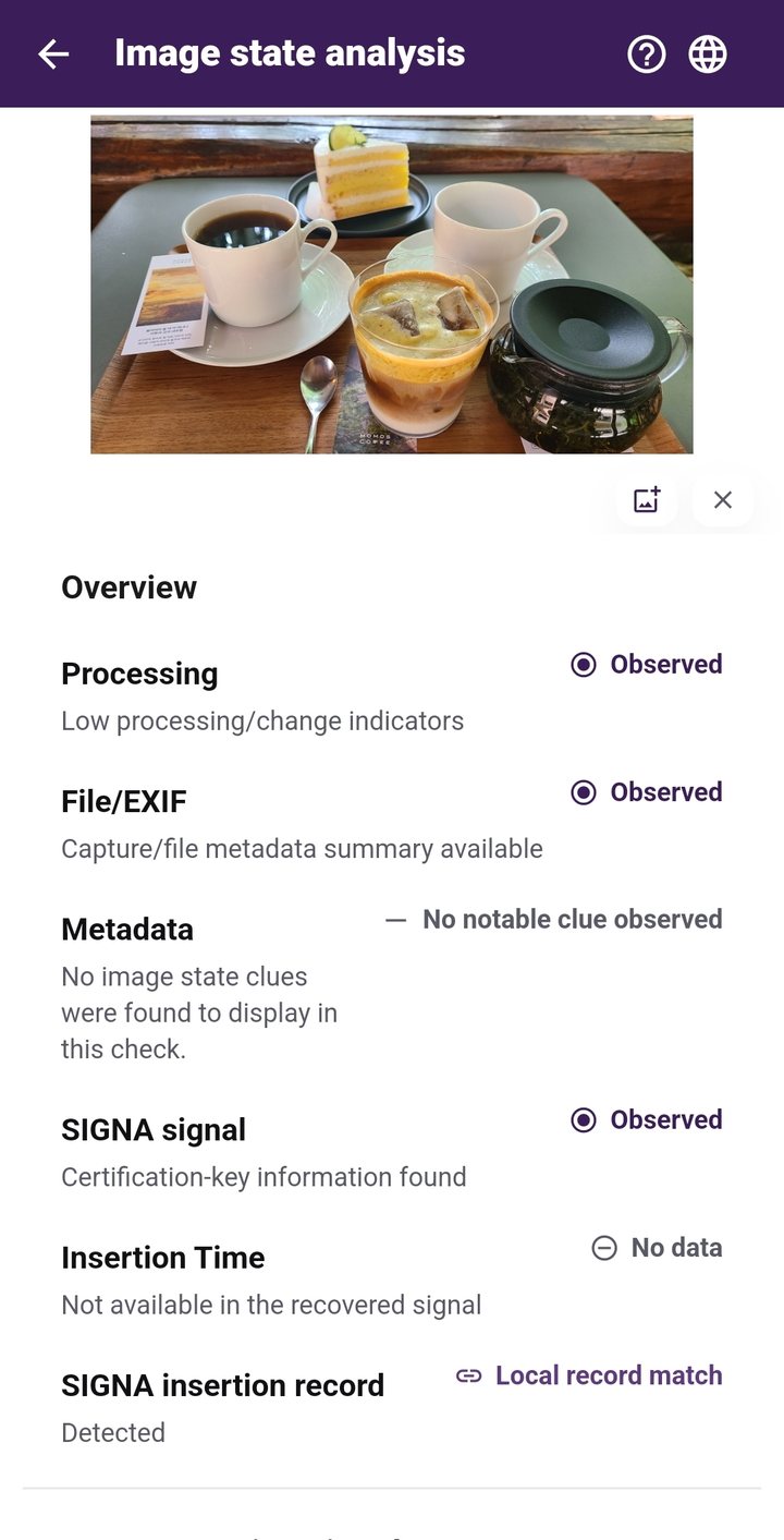 SIGNA on-device image analysis screen in English