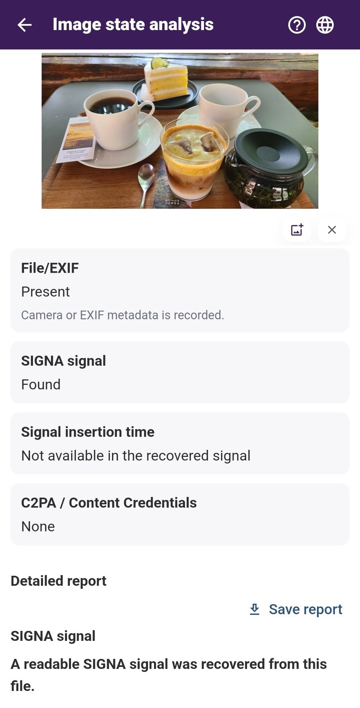 SIGNA report screen in English